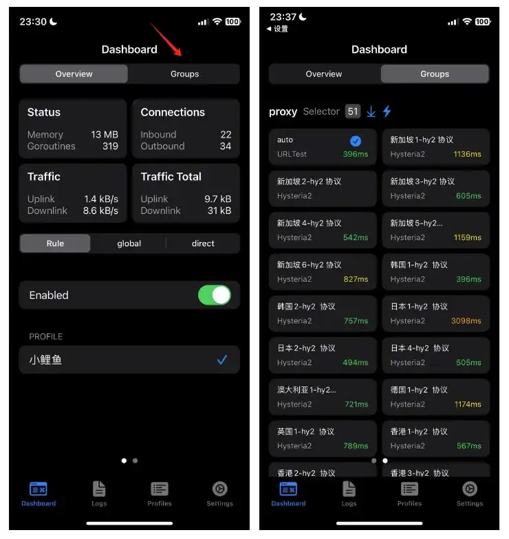 sing-box 选择节点