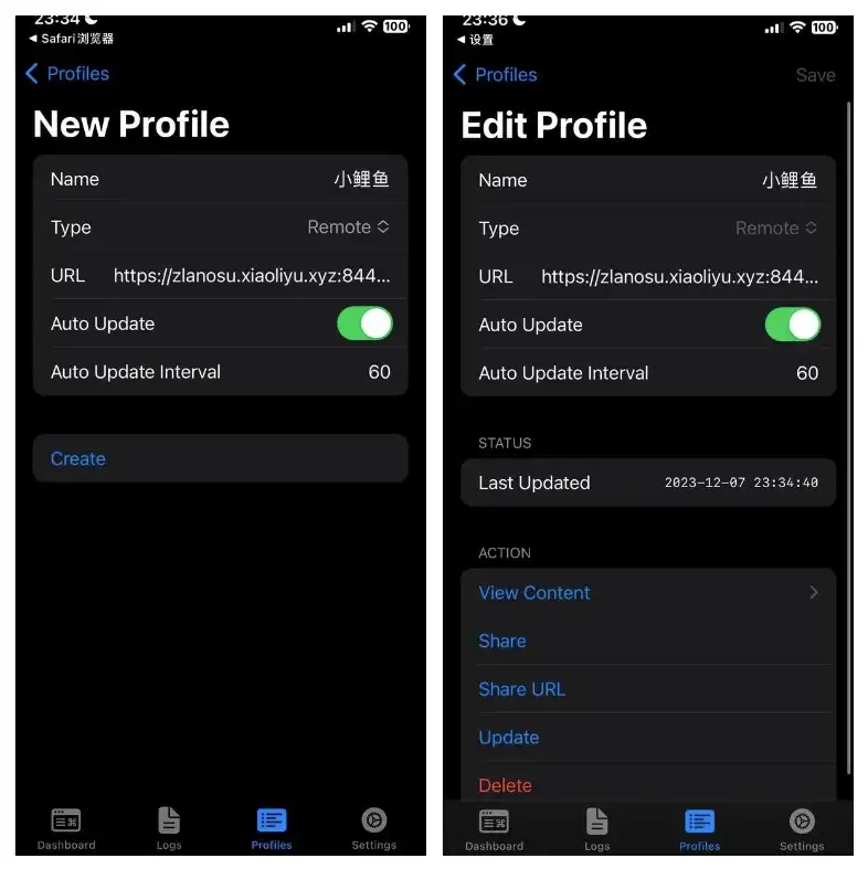 sing-box 编辑配置文件